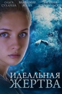 Идеальная жертва (1 сезон)